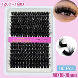 Cluster Eyelashes